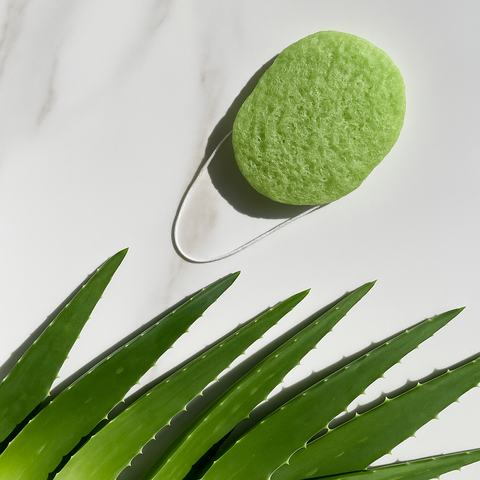 Wildpier™️ Aloe Konjac Sponge