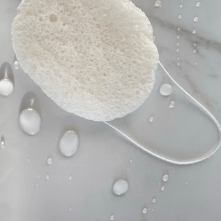 Wildpier™️ Konjac Sponge - Wildpier Beauty