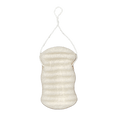 Wildpier™️ Walnut Konjac Body Sponge