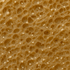 Wildpier™ Walnut Konjac Sponge - Wildpier Beauty