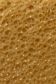 Wildpier™️ Walnut Konjac Sponge