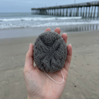 Hand holding a textured stone with a beach and pier in the background