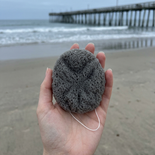 Hand holding a textured stone with a beach and pier in the background